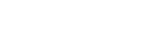 Bodrum Boru logosu